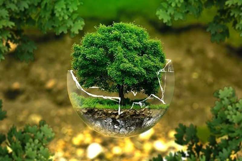 مهندسی بهداشت محیط