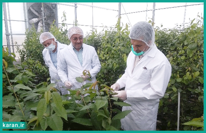 گرایش های مختلف مهندسی کشاورزی